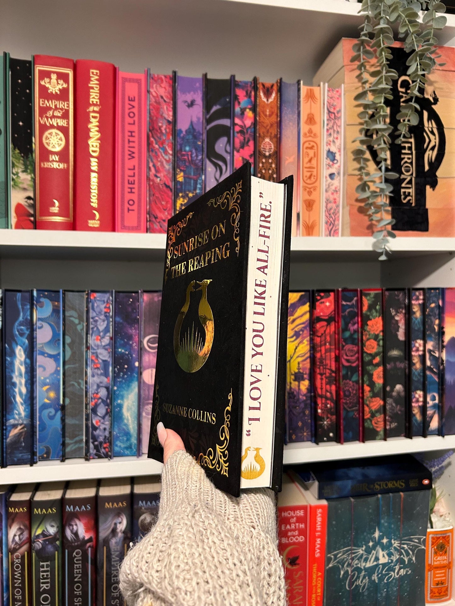 Sunrise On The Reaping by Suzanne Collins Rebind with sprayed edge