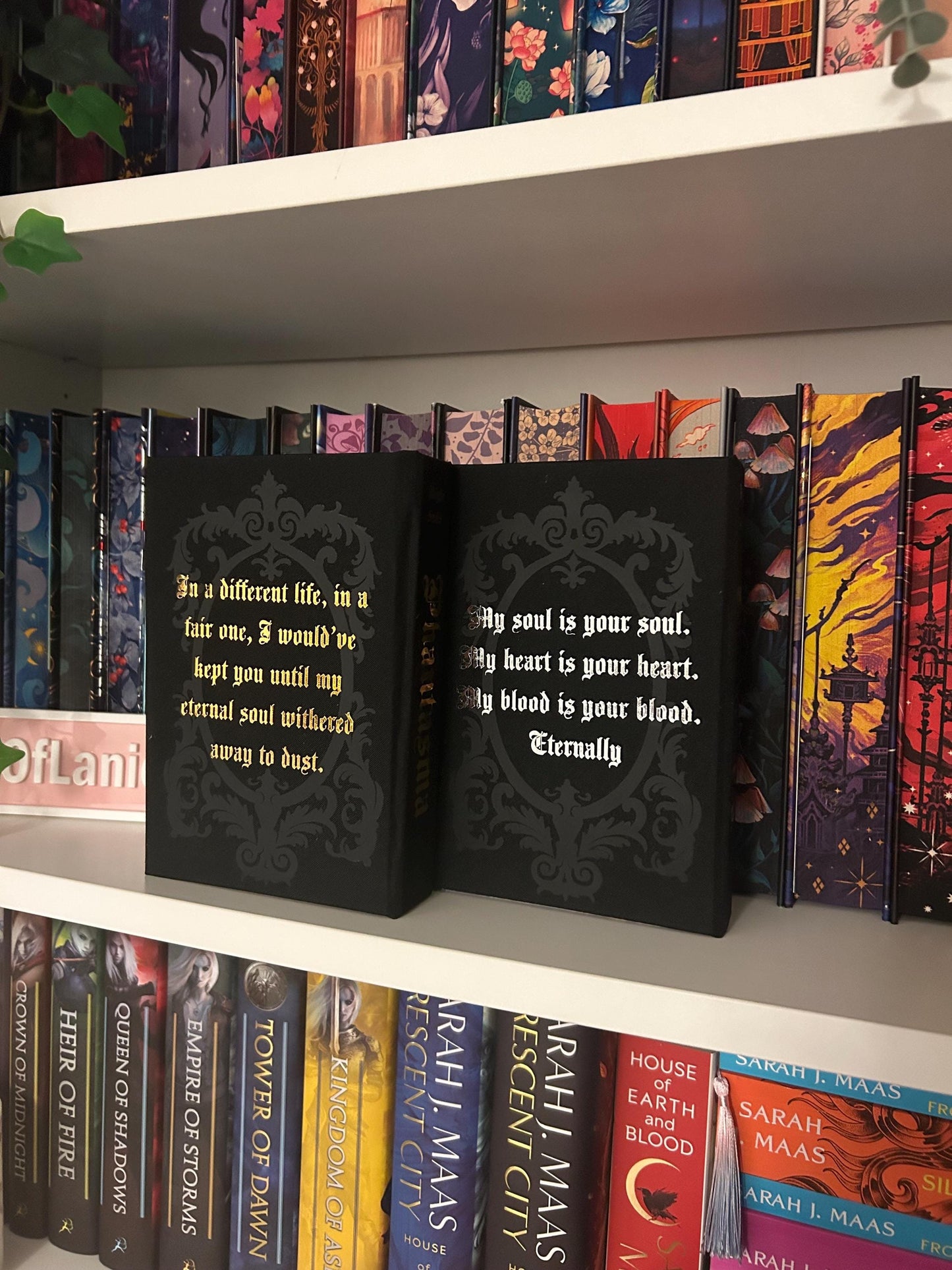 Phantasma and Enchantra rebound special editions by Kaylie Smith