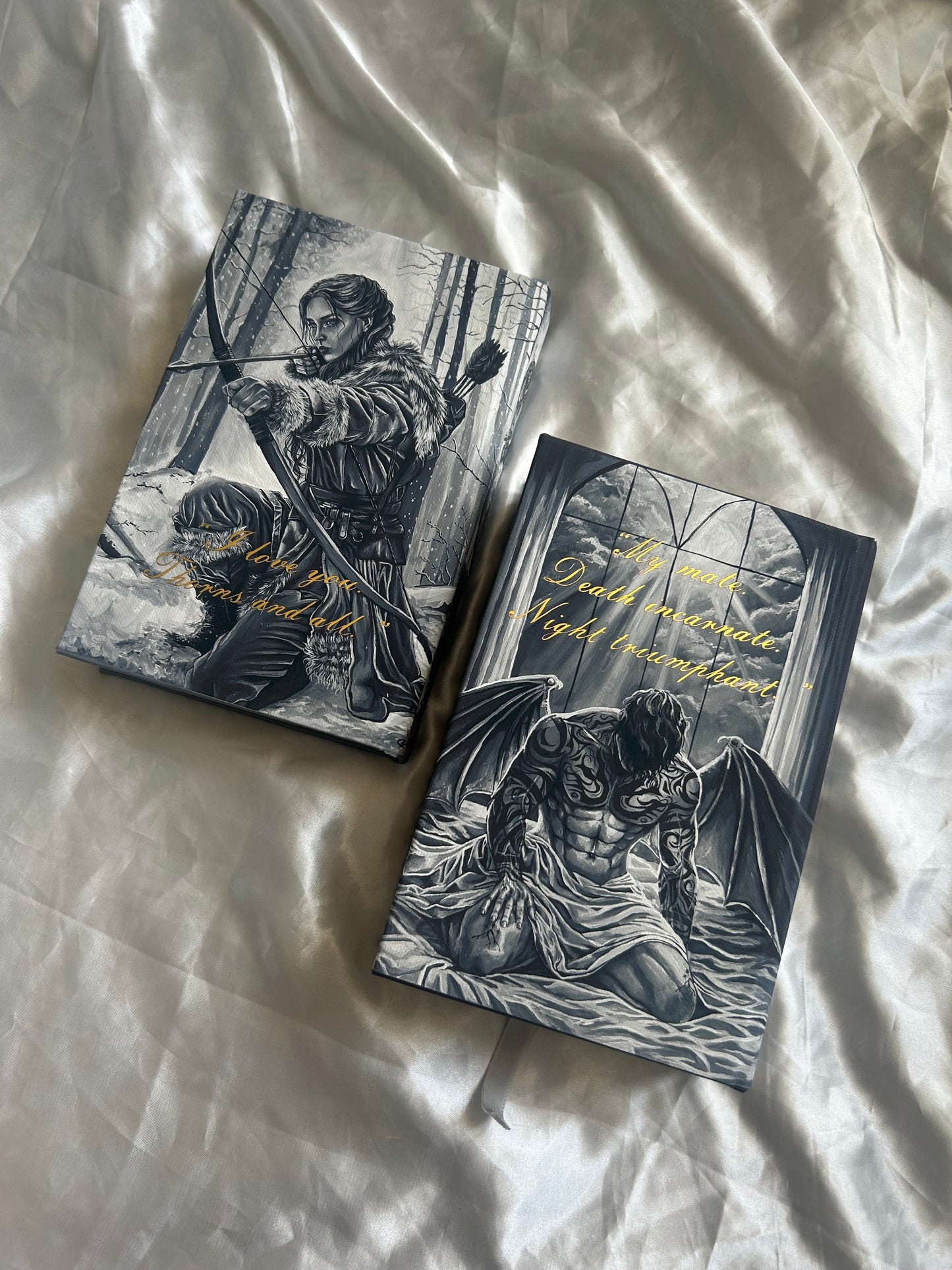 ACOTAR & ACOMAF artwork rebind SET - ( A Court of Thorns and Roses & A Court of Mist and Fury)