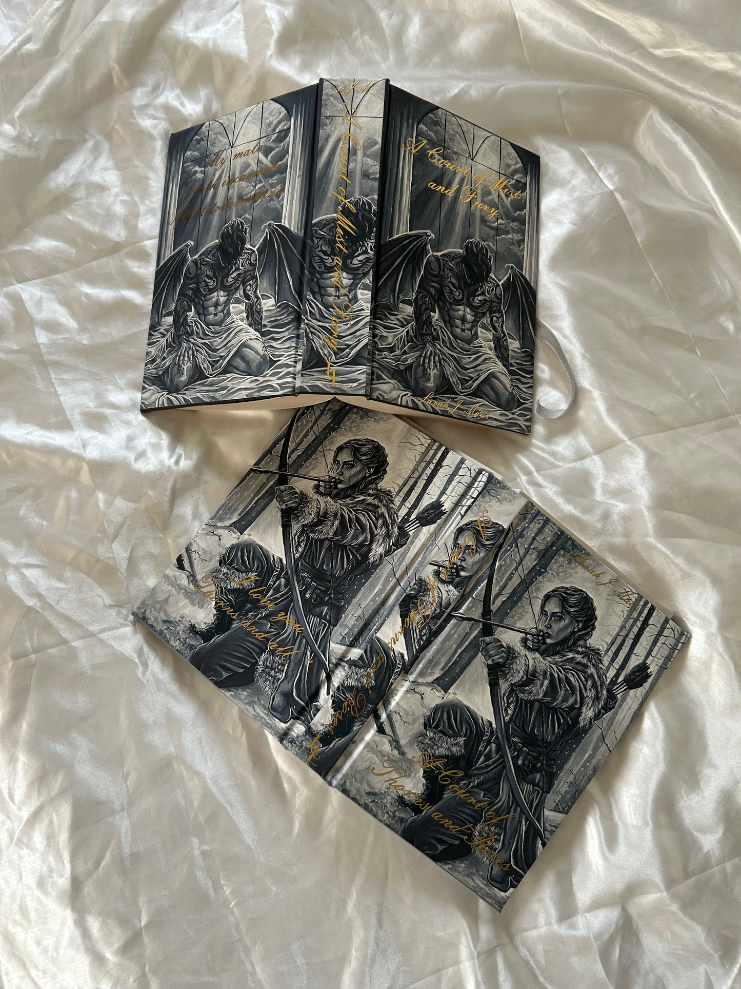 A Court of Thorns and Roses artwork rebind pre-order