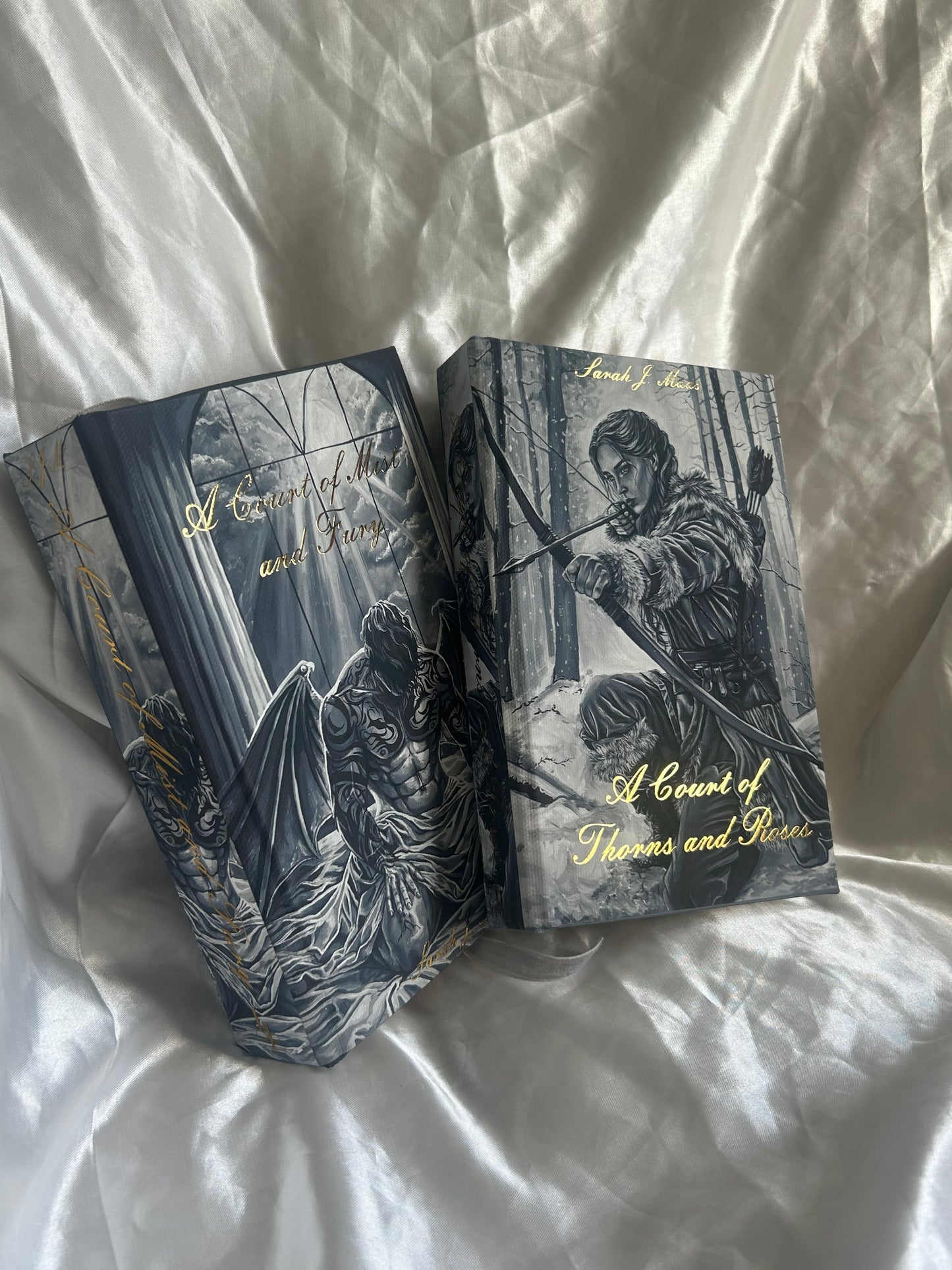 ACOTAR & ACOMAF artwork rebind SET - ( A Court of Thorns and Roses & A Court of Mist and Fury)